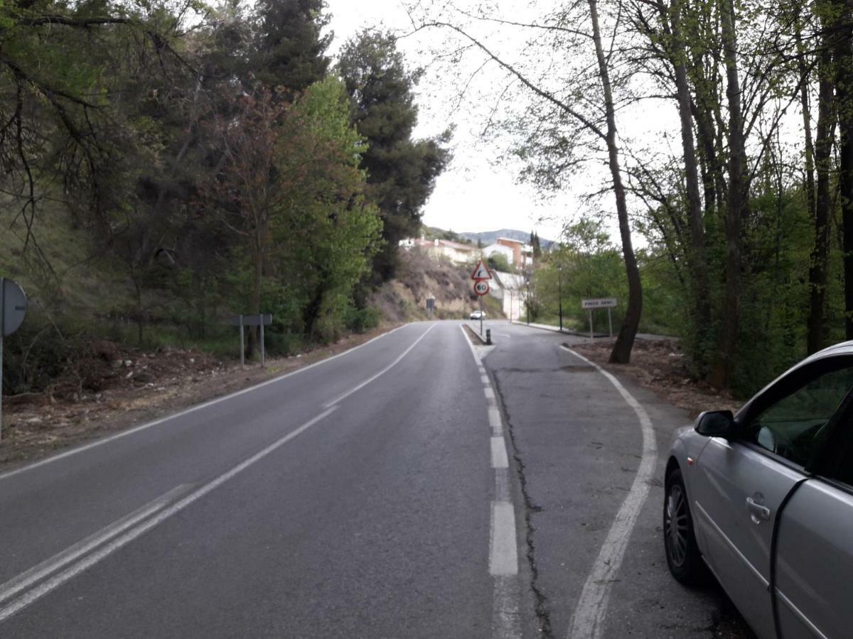 Alborada Pinos Genil
